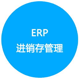 ERP財務報表